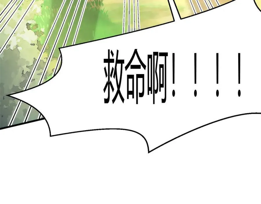 545 第17页