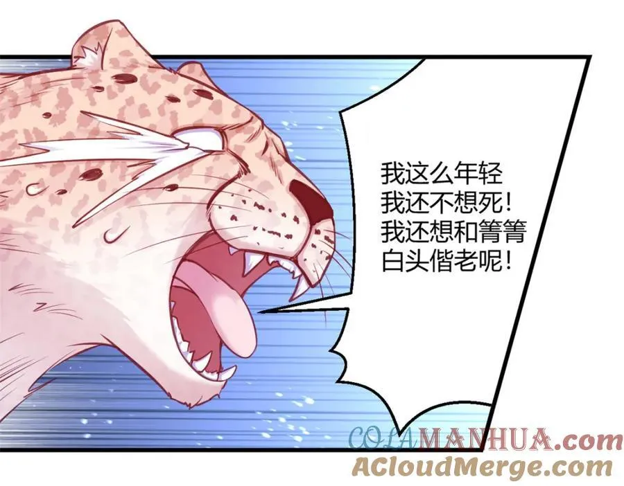 545 第19页