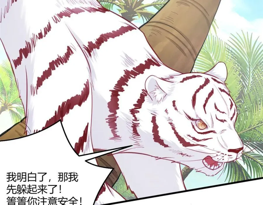 545 第41页