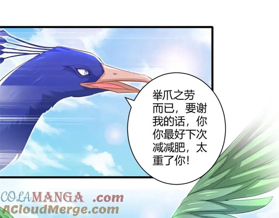 546 第4页