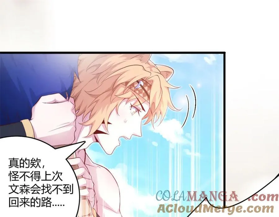546 第19页