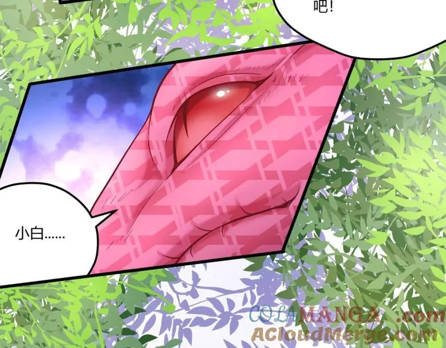 551 第25页
