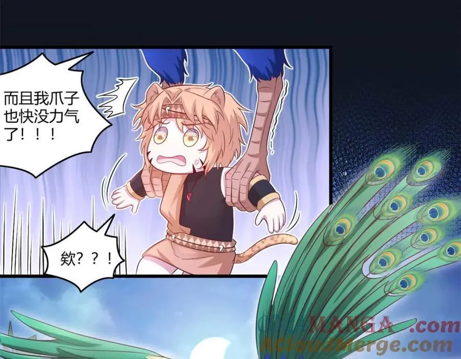 553 第40页