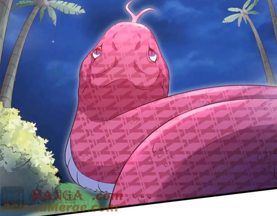 553 第43页