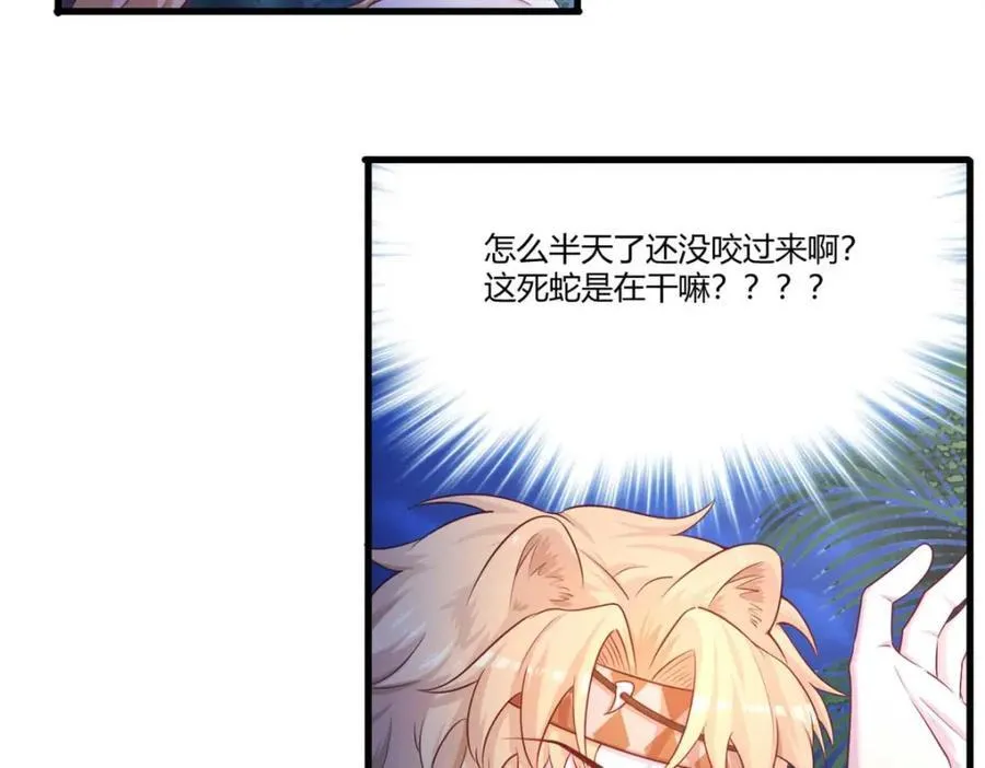 553 第65页