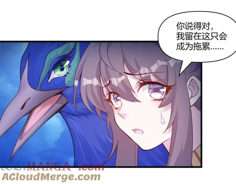 557 第31页