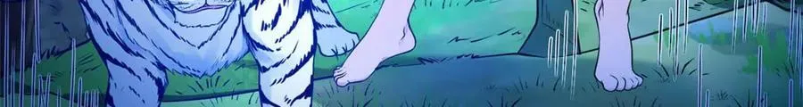 558 第51页