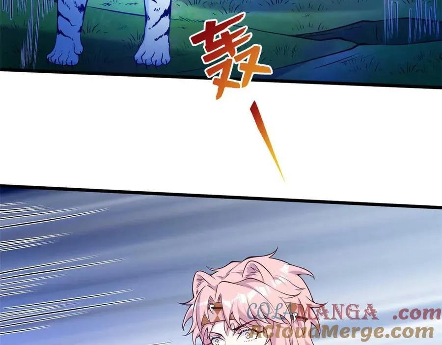 558 第52页