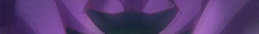 559 第27页