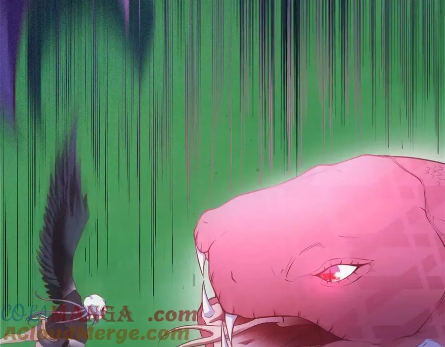 559 第34页