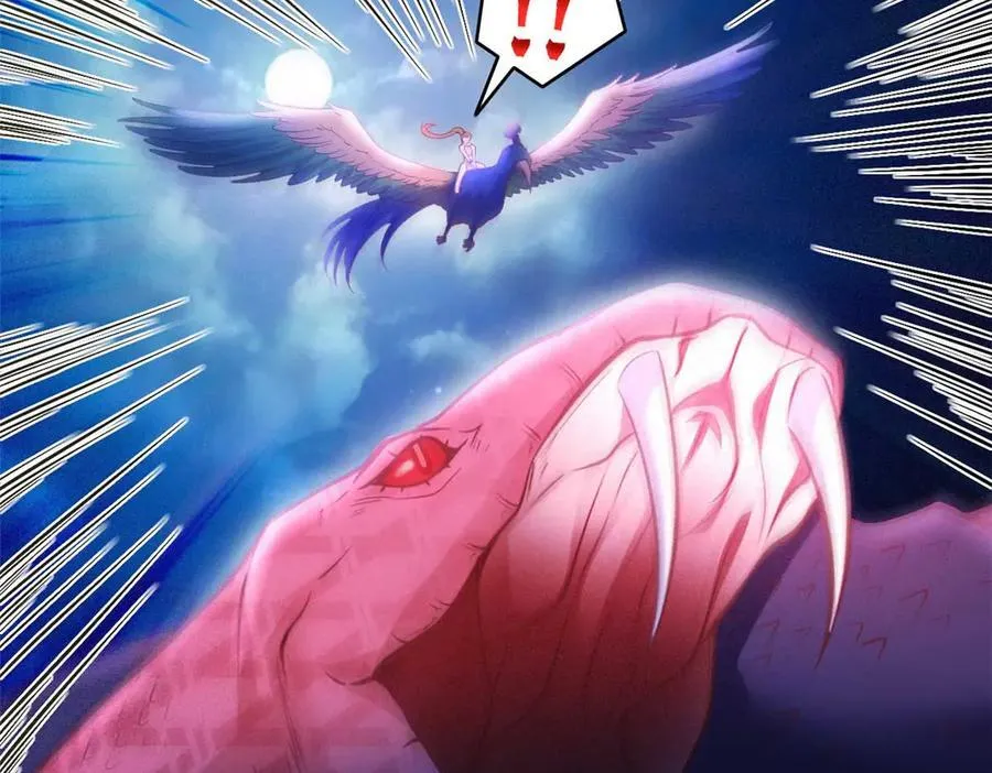 559 第41页