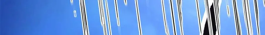 561 第24页