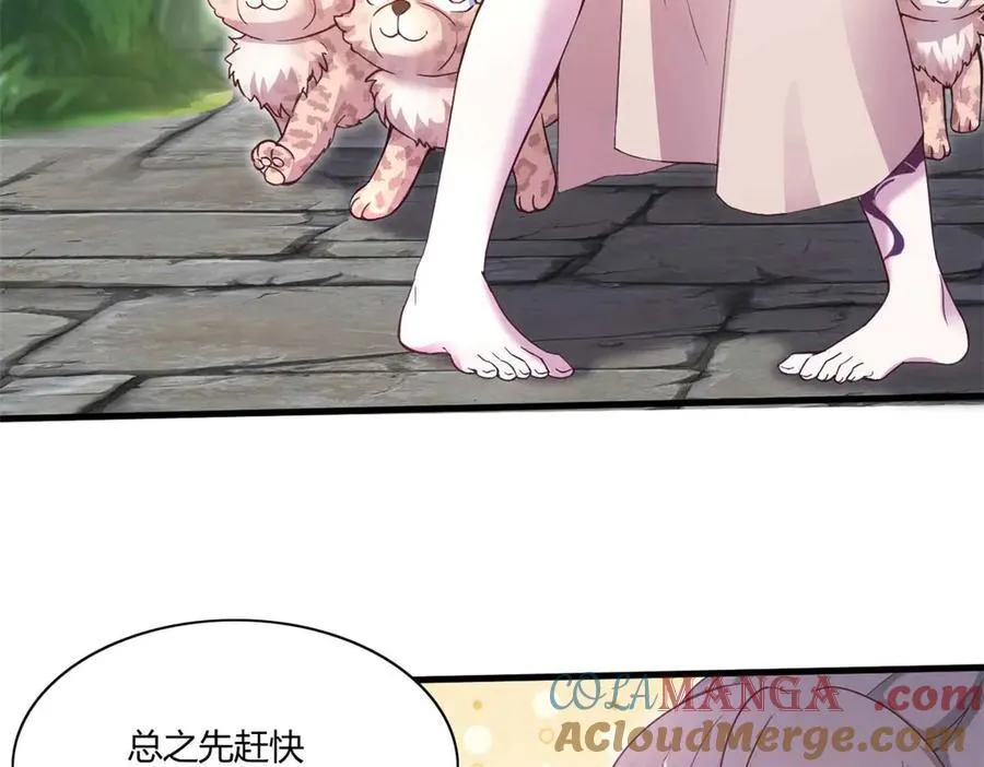 565 第34页