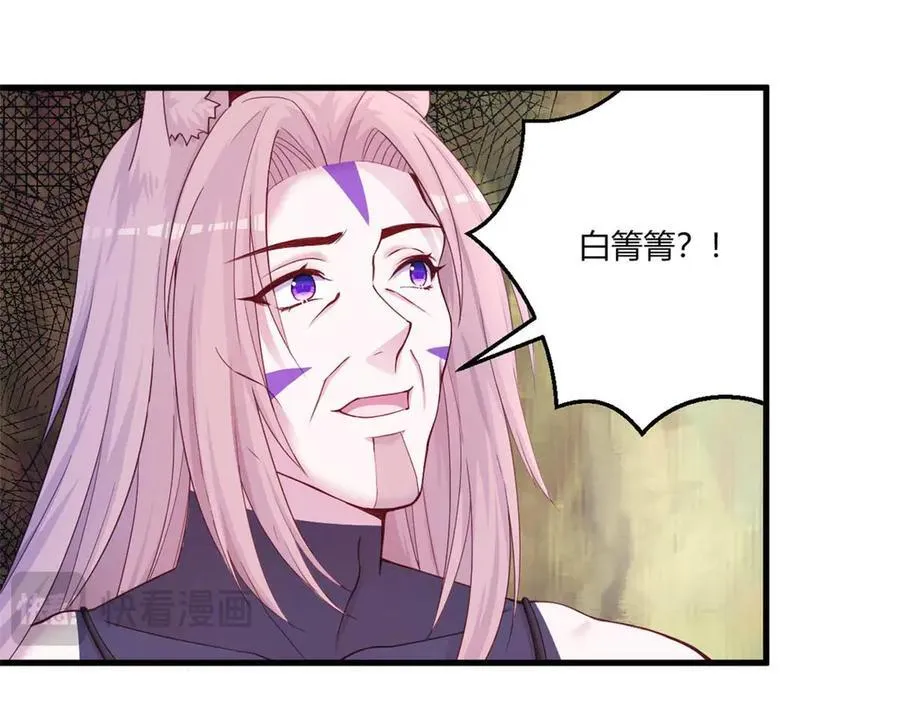 565 第41页