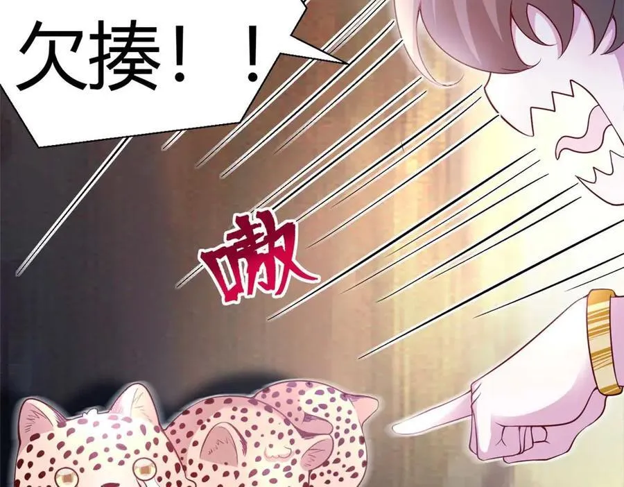 566 第50页