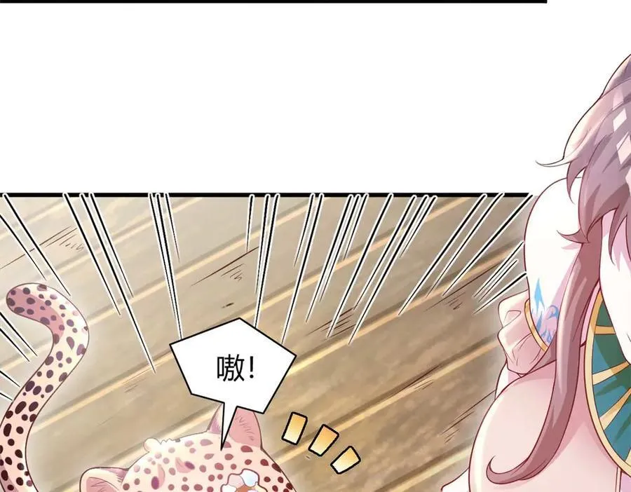 566 第56页