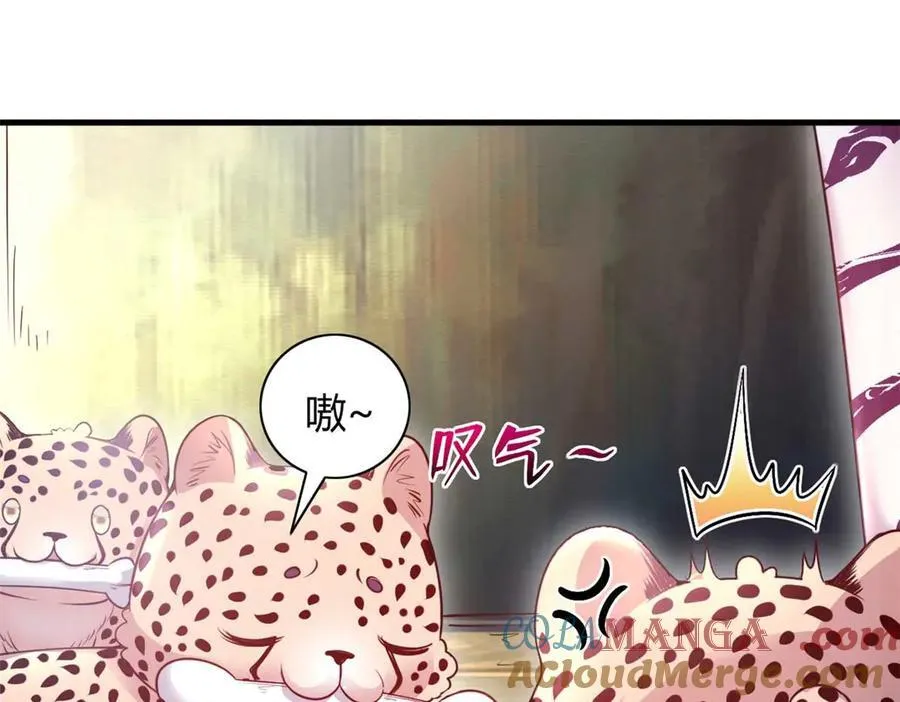 566 第64页