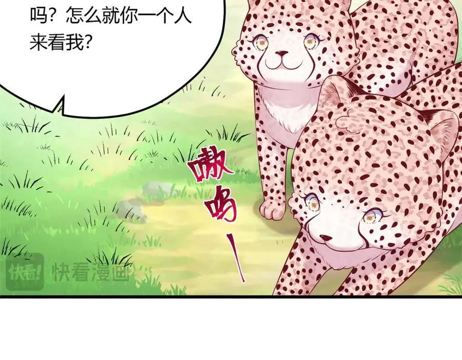 567 第50页