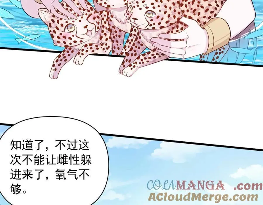568 第55页