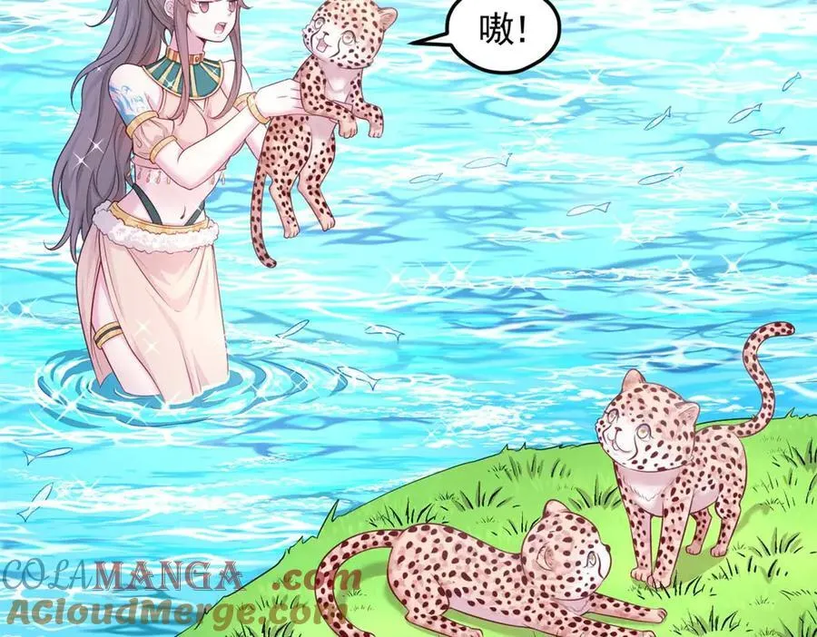 568 第67页