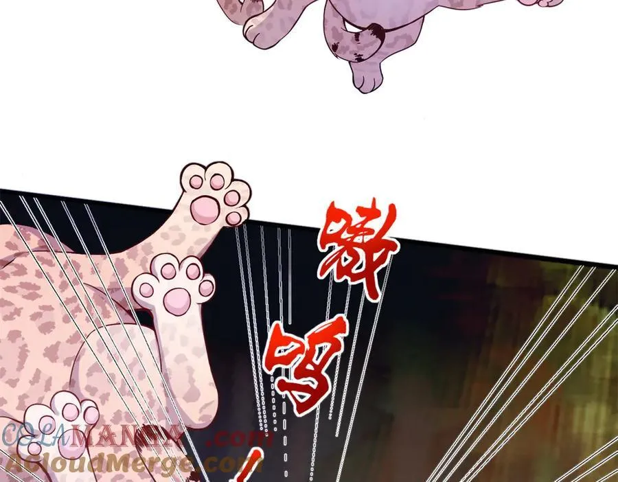569 第57页