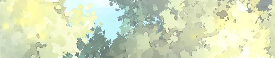 570 第3页
