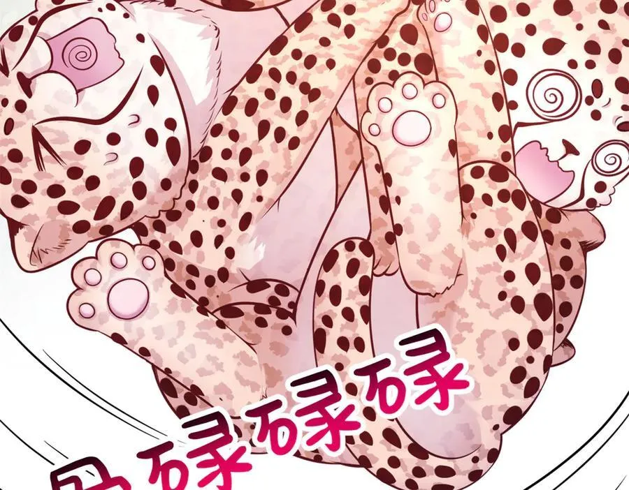 570 第23页