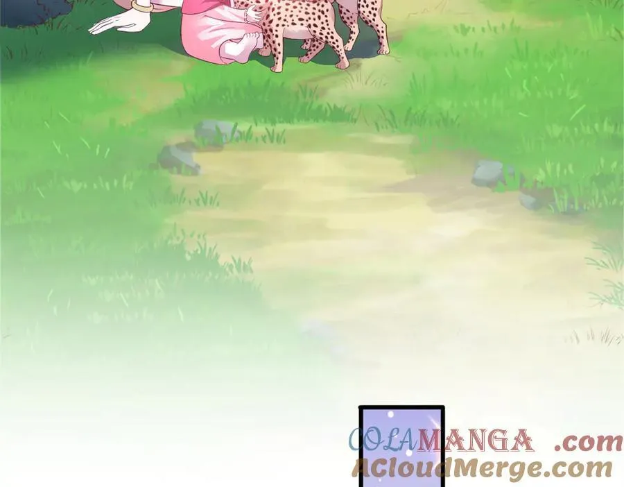 570 第113页