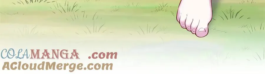 571 第61页