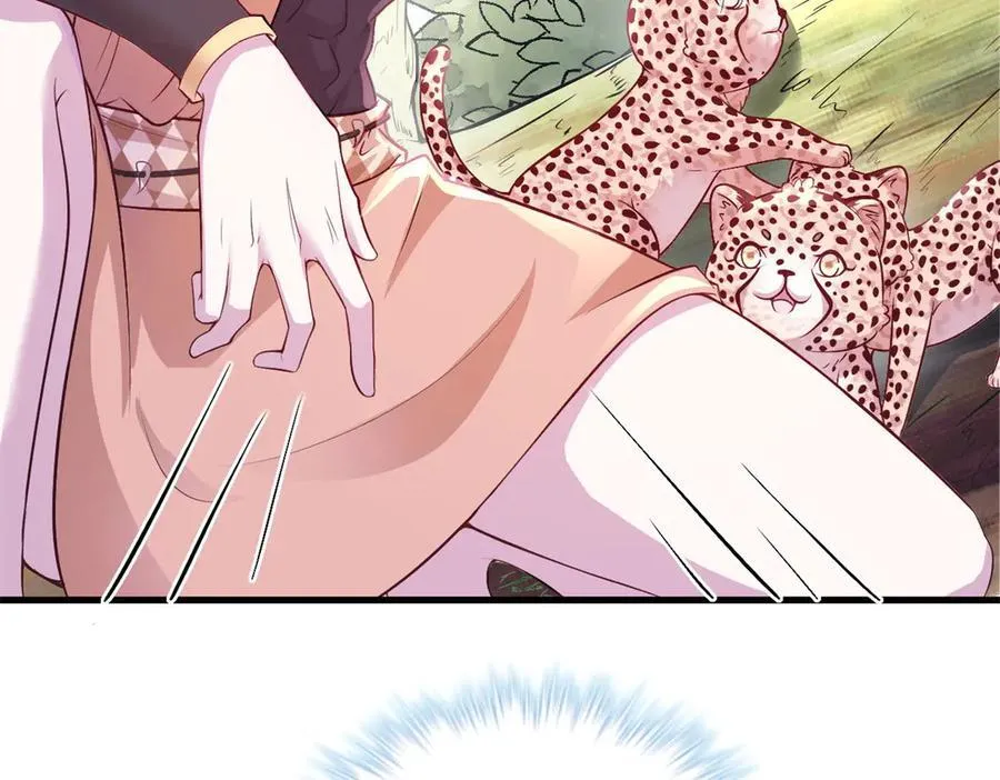 572 第41页