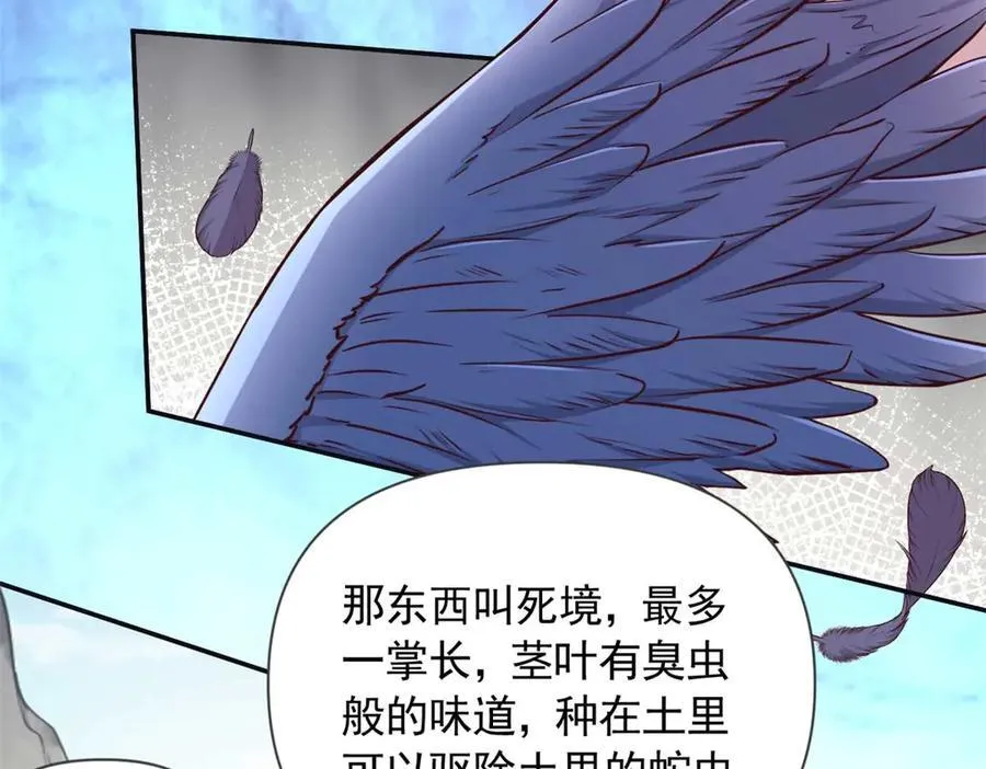 578 第60页