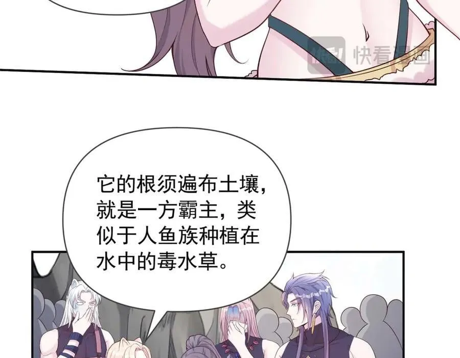 578 第66页