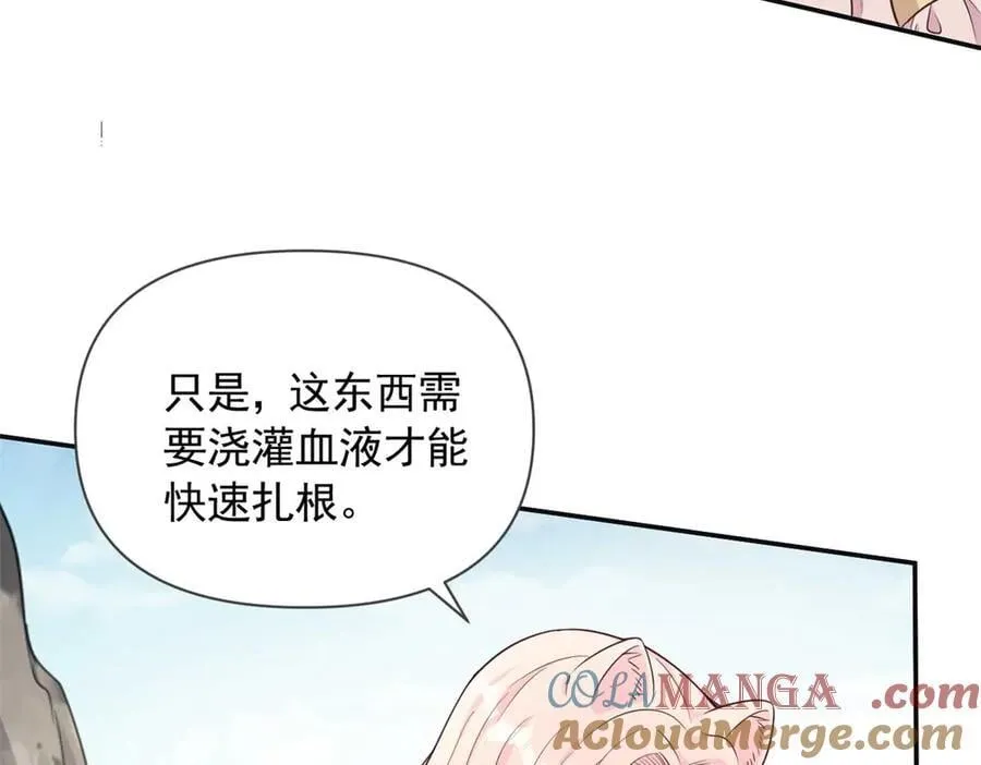 578 第70页
