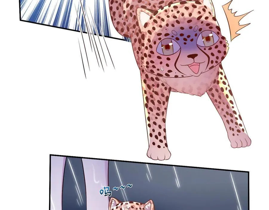 584 第66页