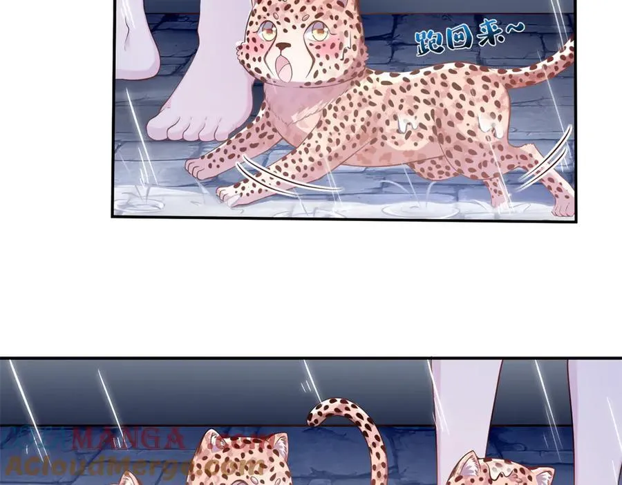 584 第67页