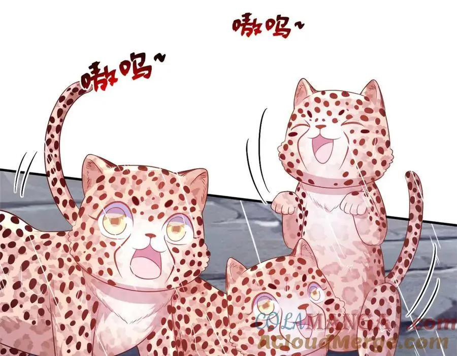 585 第7页