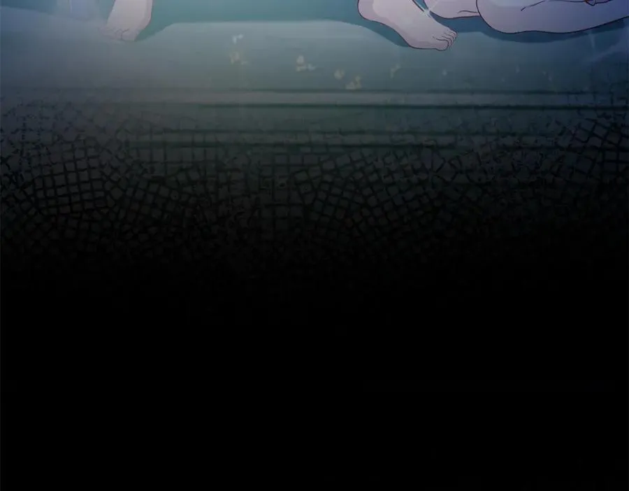590 第48页