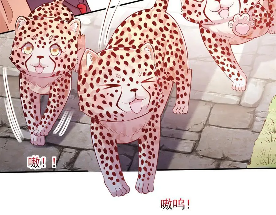 590 第57页