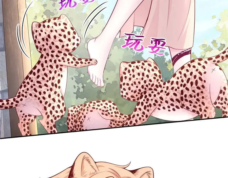 593 第48页