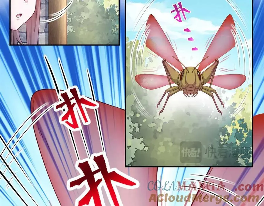 593 第61页