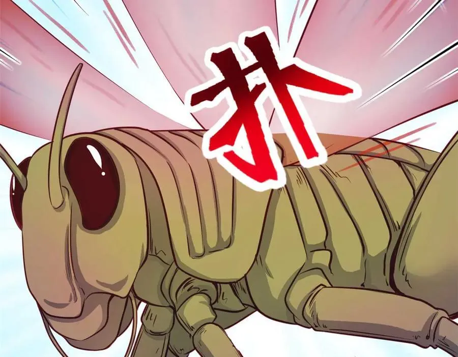 593 第63页