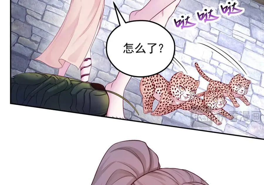 594 第12页