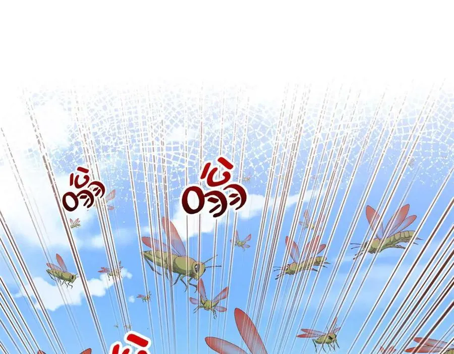 594 第17页