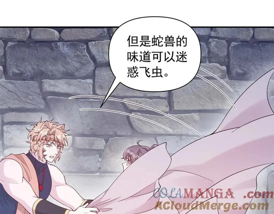 594 第43页