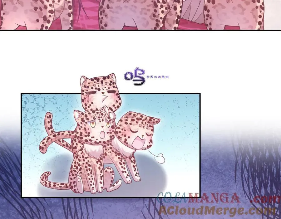 595 第19页