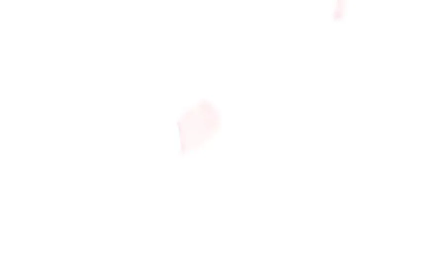 595 第45页