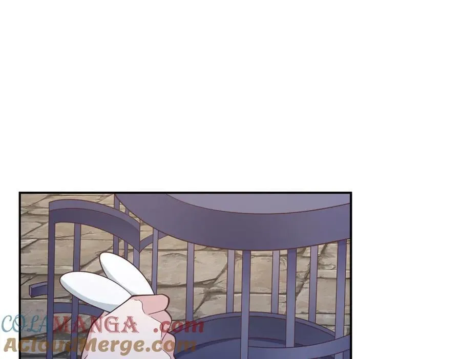 595 第58页