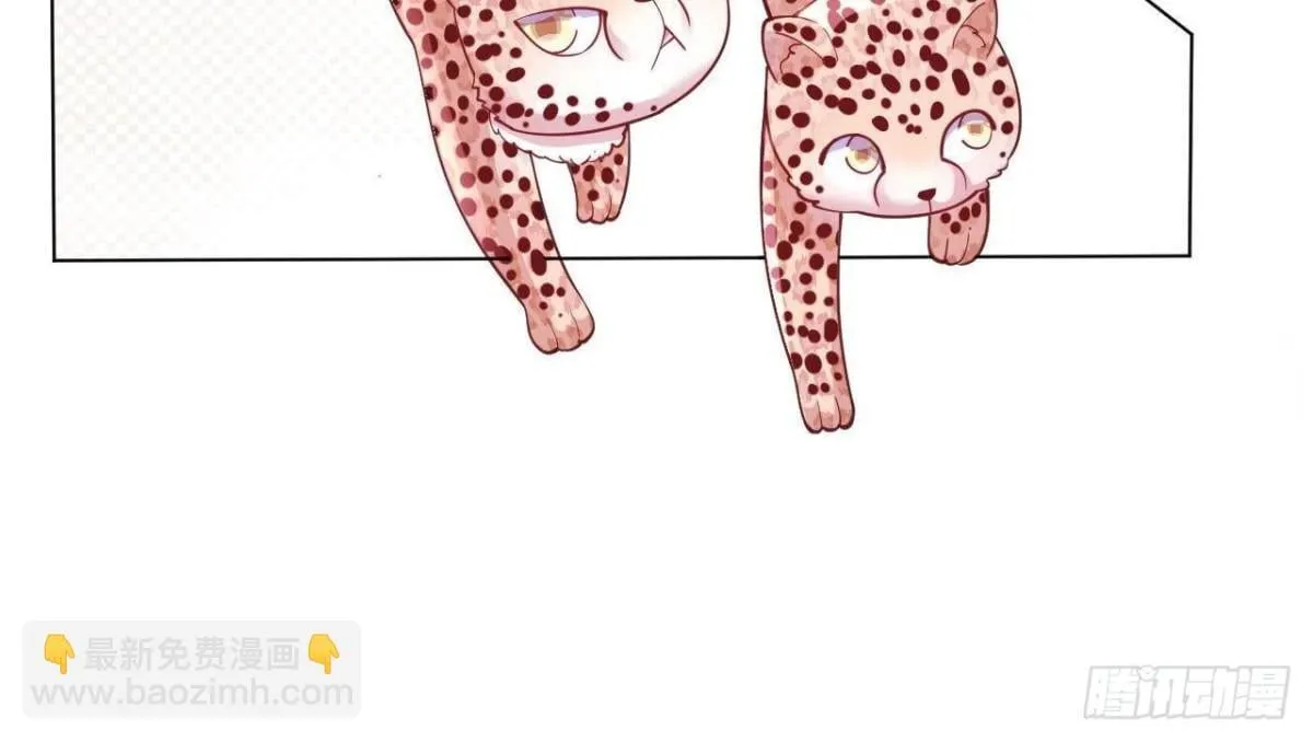 596 第28页