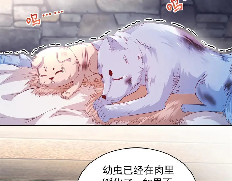 604 第32页