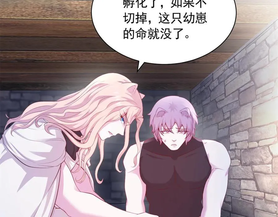 604 第33页